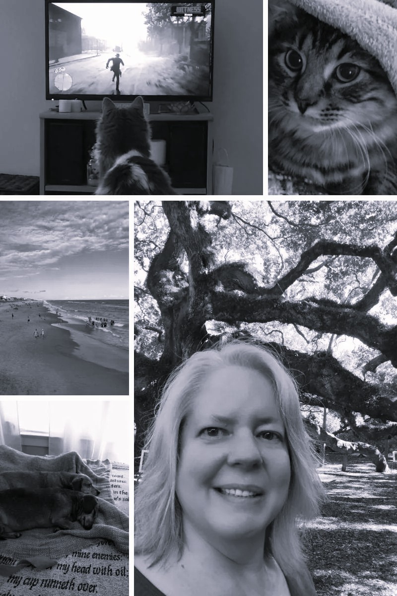 A collage of Kelly while on her travels, a few images of her pets and a beach scene.